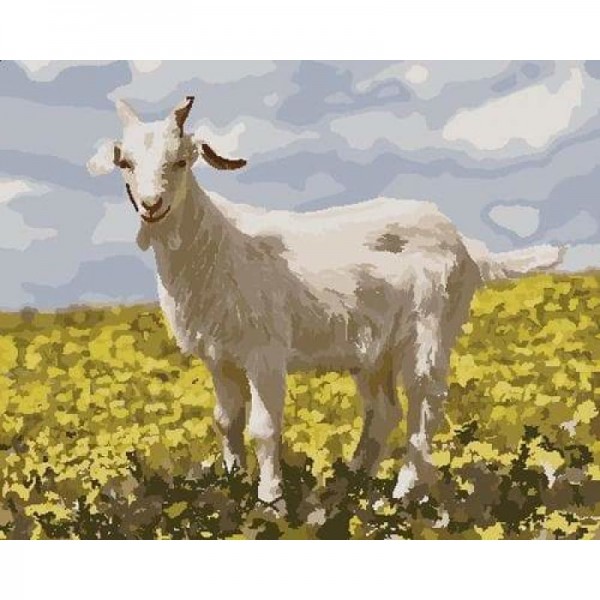 Goat Diy Paint By Numbers Kits