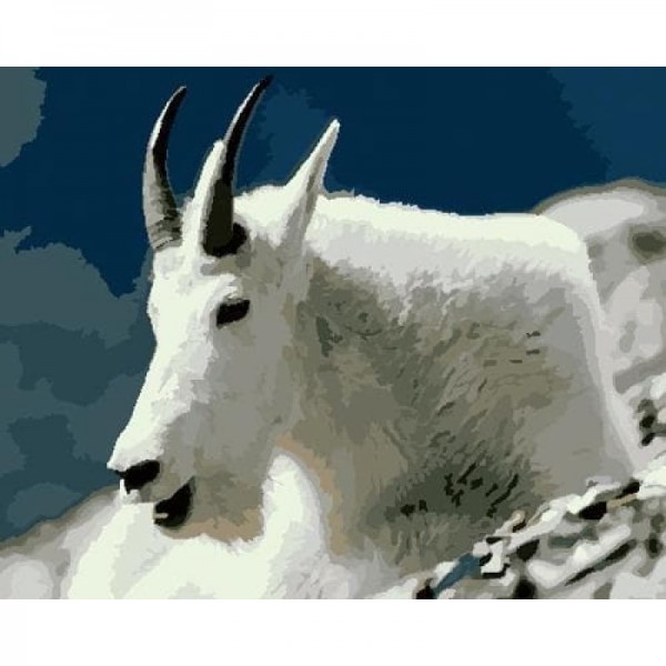 Goat Diy Paint By Numbers Kits