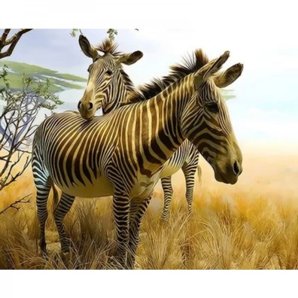 Animal Zebra Diy Paint By Numbers Kits