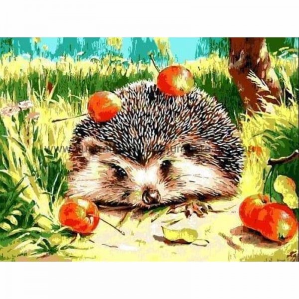 Buy Hedgehog Diy Paint By Numbers Kits