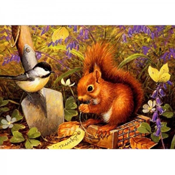 Squirrel Diy Paint by Numbers Kits
