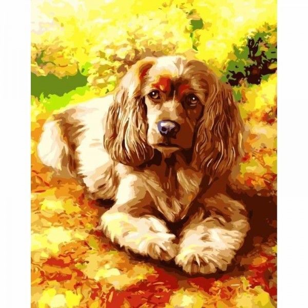 Buy Flower Dog Diy Paint By Numbers Kits
