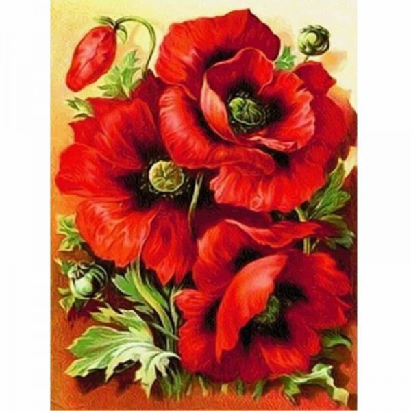 Buy Flower Diy Paint By Numbers PBN90295