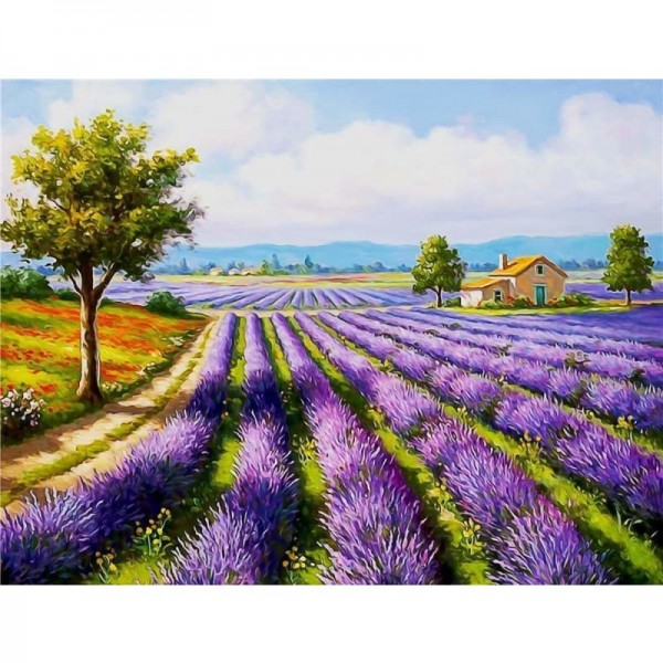 Order Landscape Lavender Diy Paint By Numbers PBN90414