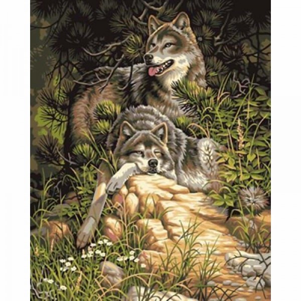 Buy Animal Wolf and tiger Diy Paint By Numbers Kits