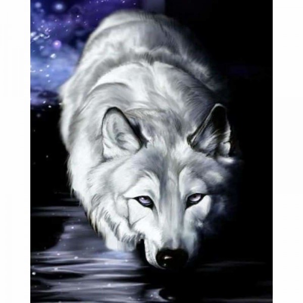Buy Animals Wolf Paint By Numbers Kits