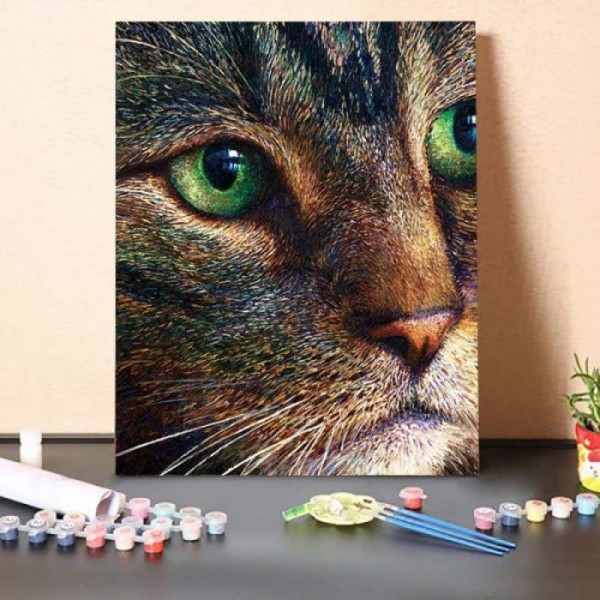 Broccoli Tabby – Paint By Numbers Kit