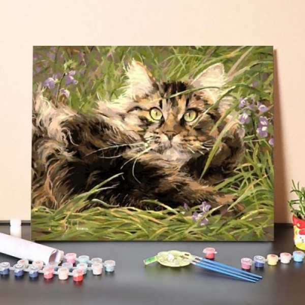 Cat's Stare – Paint By Numbers Kit