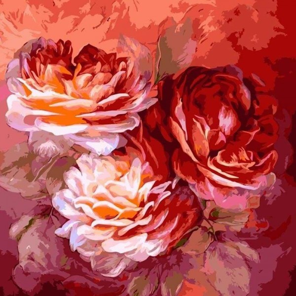 Peony Flower Diy Paint By Numbers Kits