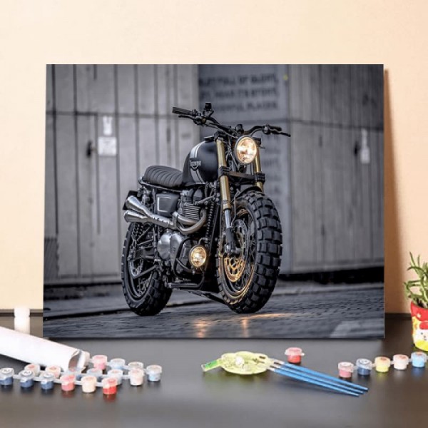 Paint by Numbers Kit-Fastest Motorcycles