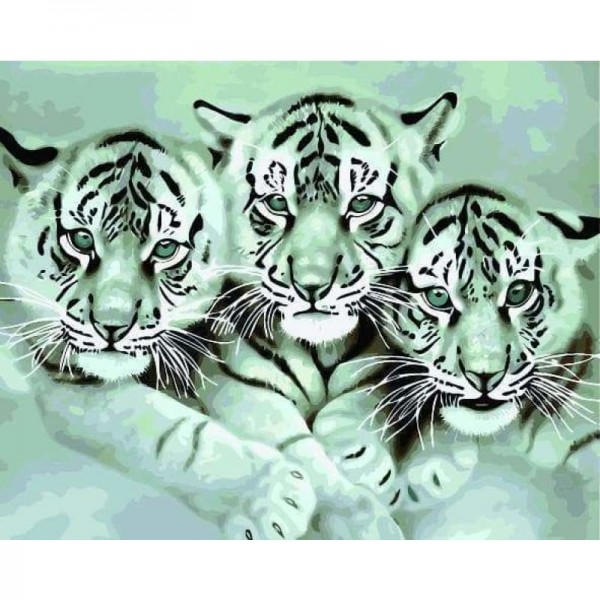 Animal Tiger Diy Paint By Numbers Kits
