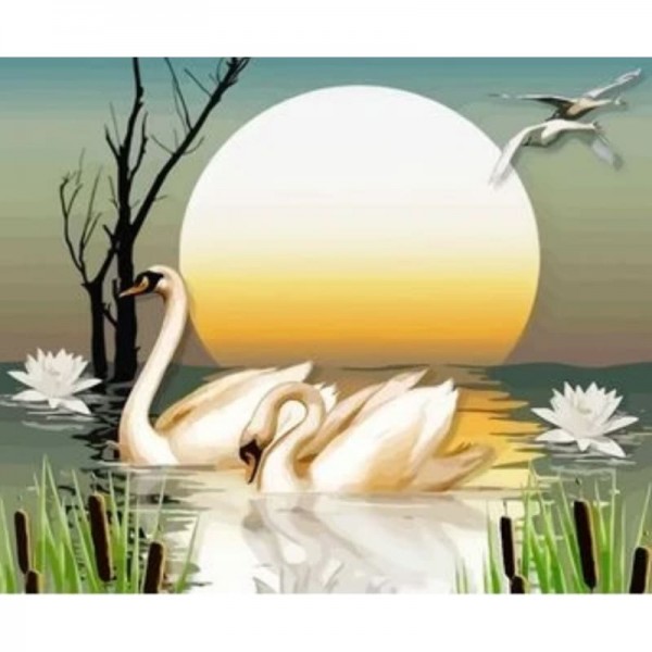 Animal Swan Diy Paint By Numbers Kits