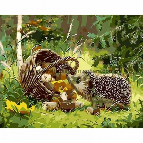 Buy Hedgehog Paint By Numbers Kits