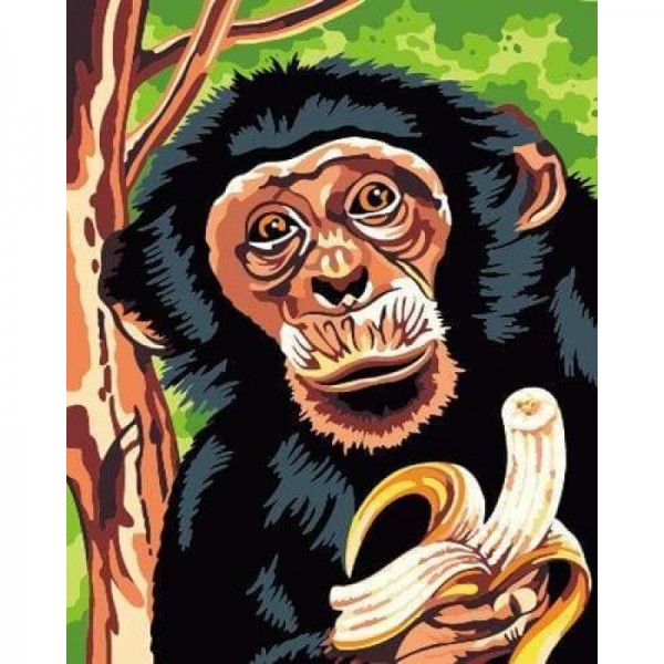 Animal Monkey Diy Paint By Numbers Kits