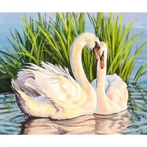 Animal Swan Diy Paint By Numbers Kits