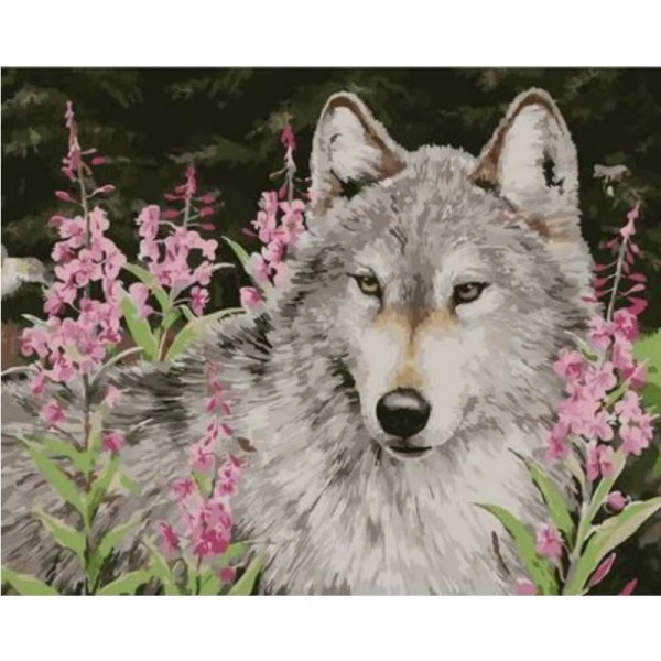 Animal Wolf Diy Paint By Numbers Kits