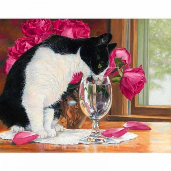 Buy Lovely Cat Diy Paint By Numbers Kits