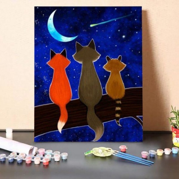 Watching the Stars – Paint By Numbers Kit