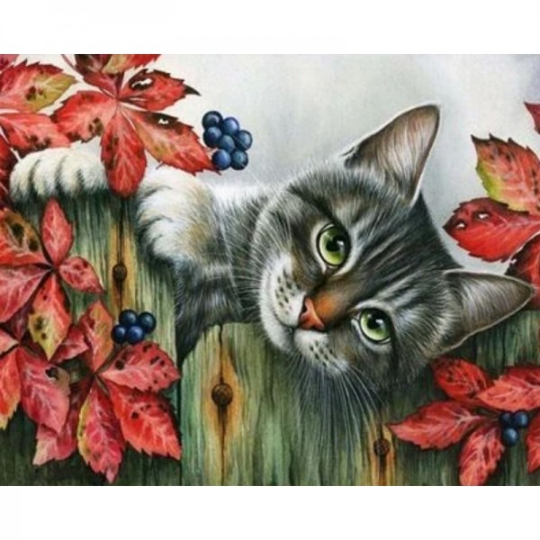 Cat Diy Paint By Numbers Kits