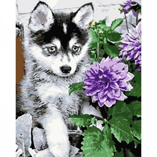 Flower Dog Diy Paint By Numbers Kits