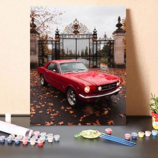 Paint By Numbers Kit Red Car