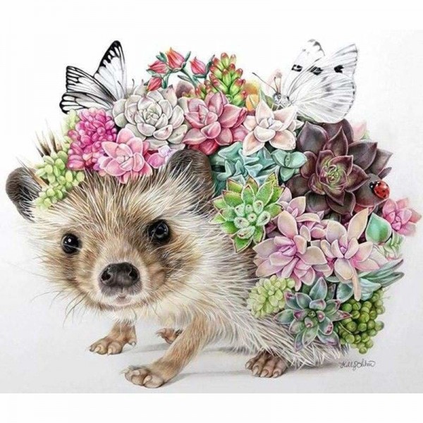 Hedgehog Diy Paint By Numbers Kits