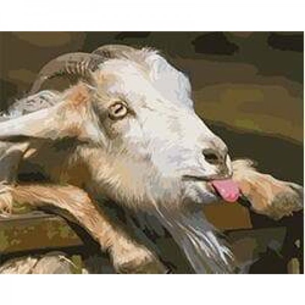 Buy Goat Diy Paint By Numbers Kits