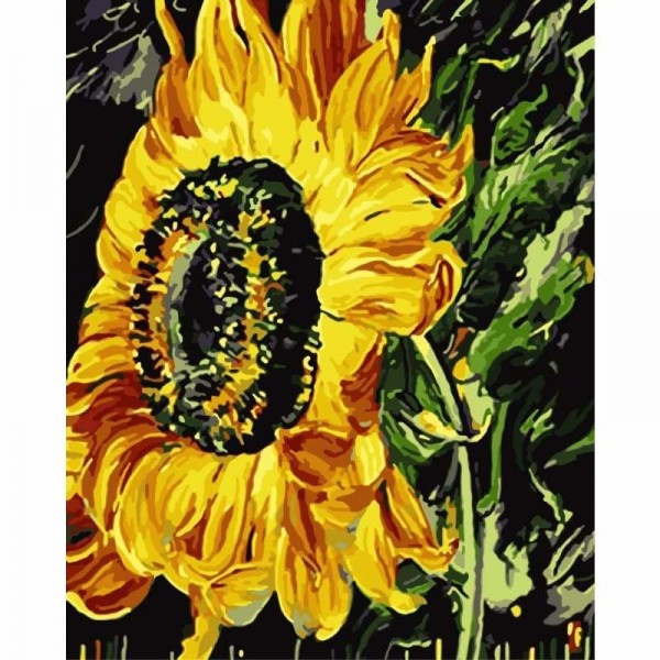 Sunflower Diy Paint By Numbers Kits
