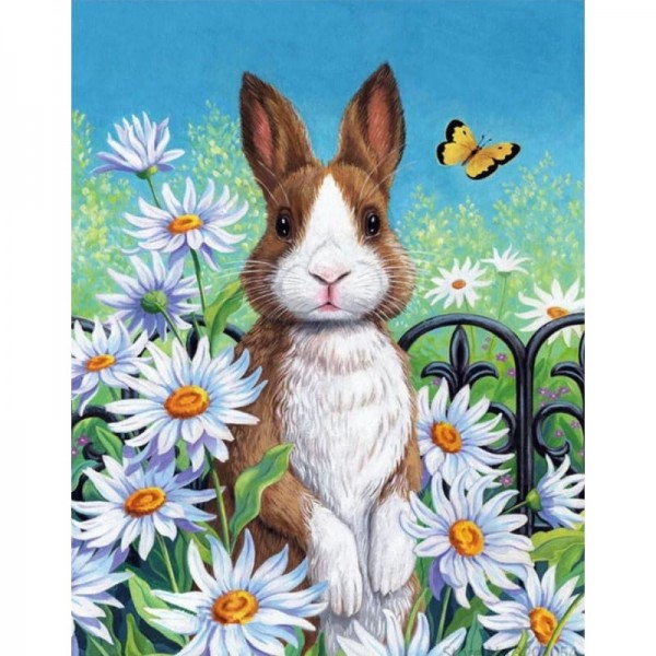 Buy Rabbit Diy Paint By Numbers Kits