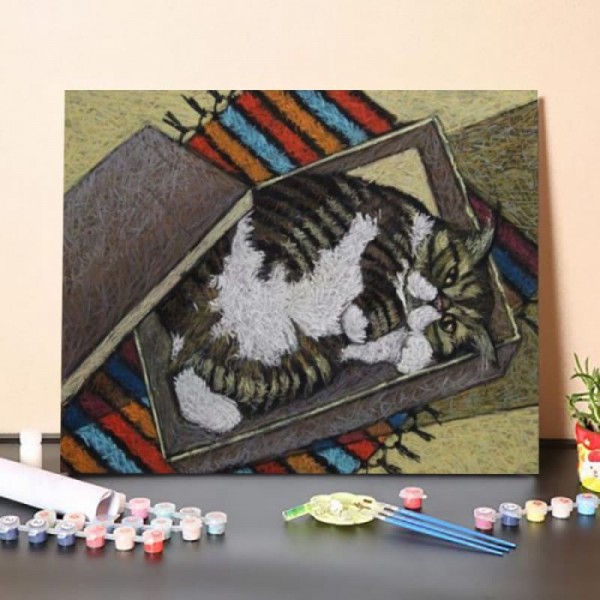 Cat Lying In a Box – Paint By Numbers Kit
