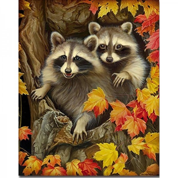 Buy Raccoon Diy Paint By Numbers Kits