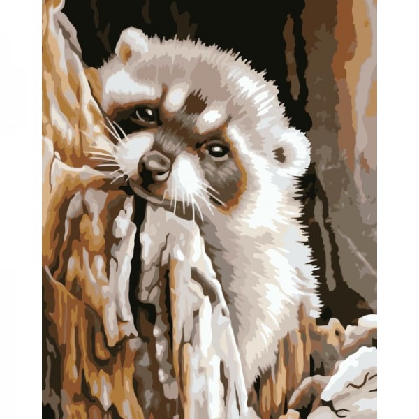 Raccoon Diy Paint By Numbers Kits