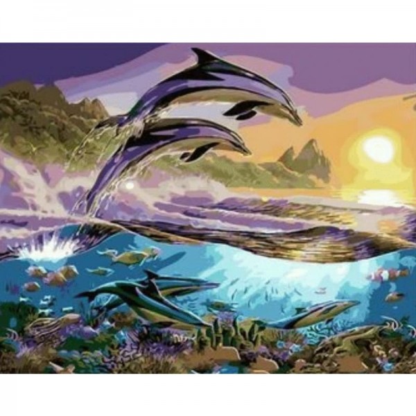 Dolphin Diy Paint By Numbers Kits