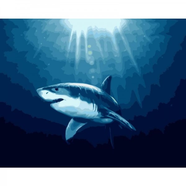 Buy Shark Diy Paint By Numbers Kits