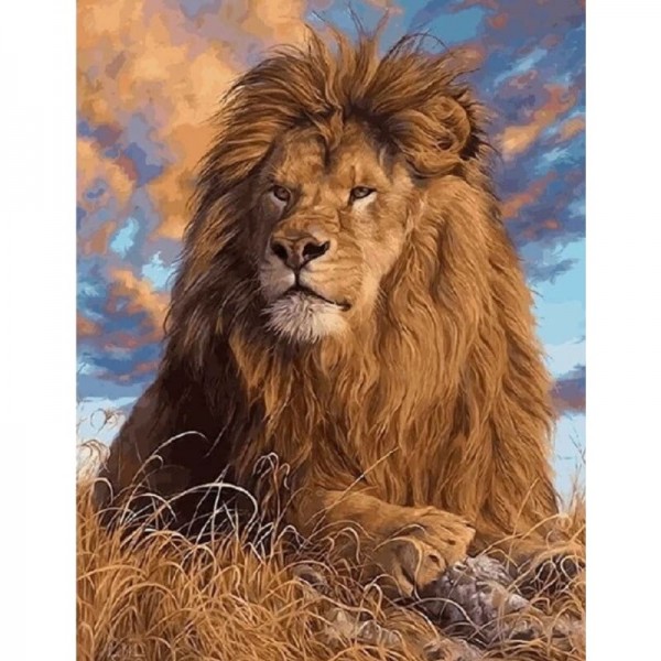 Order Animal Lion Diy Paint By Numbers | Australia Paint By Numbers