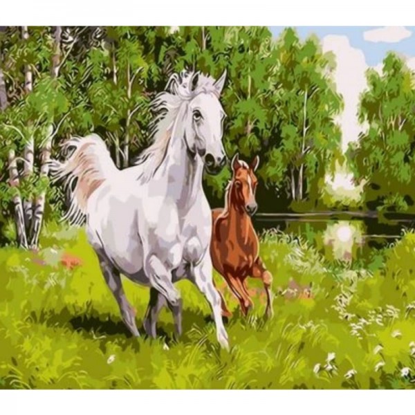 Animal Horse Diy Paint By Numbers Kits