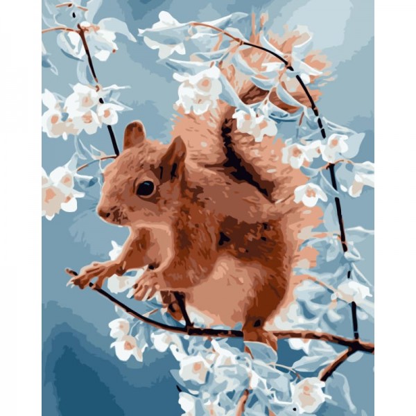 Squirrel Diy Paint By Numbers Kits