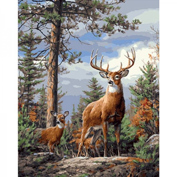 Buy Animal Deers Look Out In The Forest Diy Paint By Numbers Kits