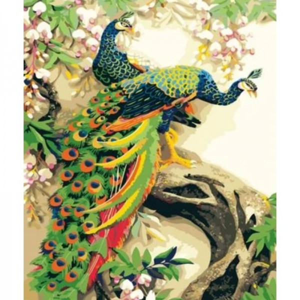 Animal Peacocks Diy Paint By Numbers Kits