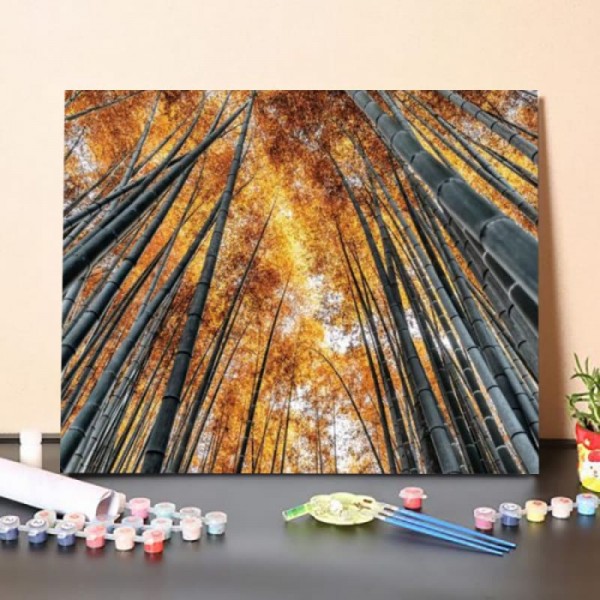Paint by Numbers Kit -Kyoto Bamboo Forest II