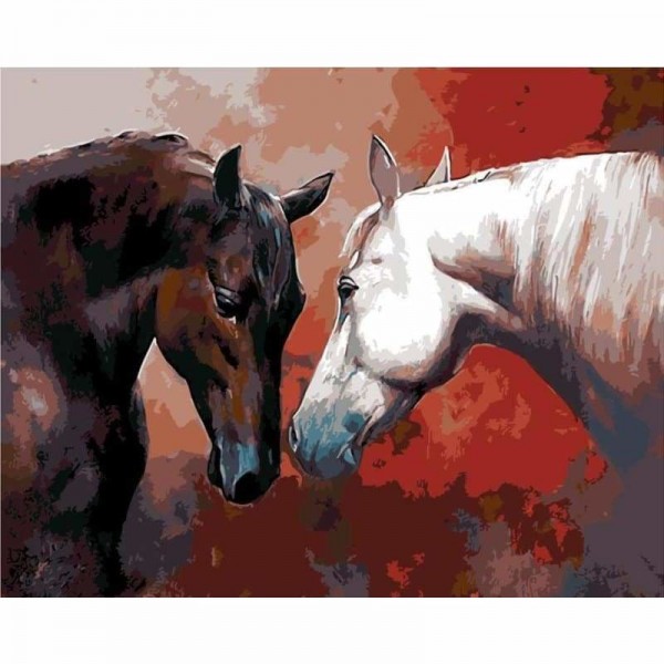 Order Horse Diy Paint By Numbers Kits
