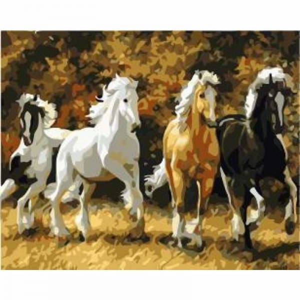 Horse Diy Paint By Numbers Kits