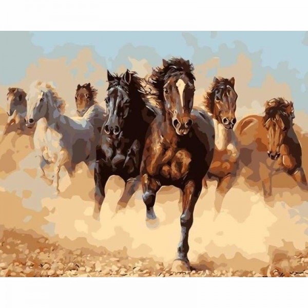 Buy Horse Diy Paint By Numbers Kits