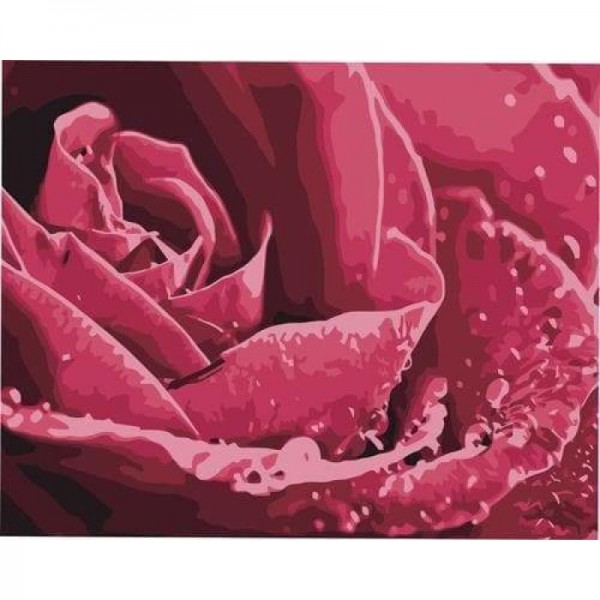 Plant Rose Diy Paint By Numbers Kits