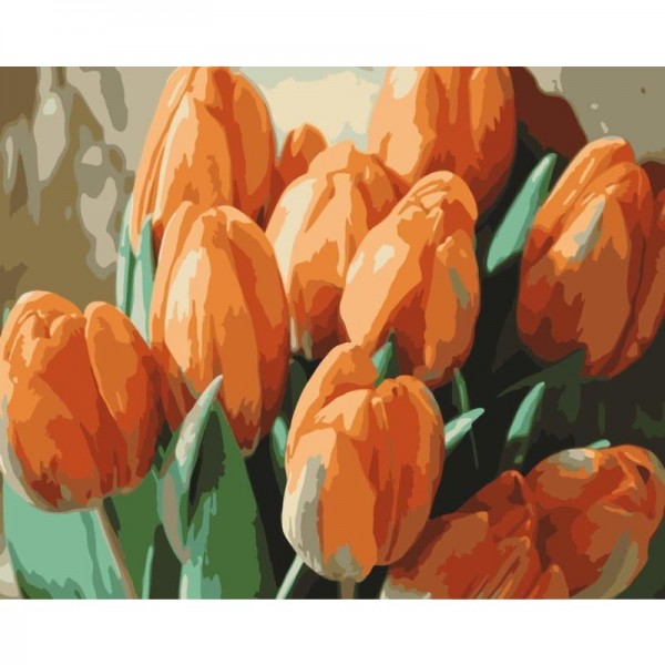 Tulips Diy Paint By Numbers Kits