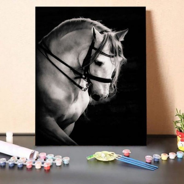 Stallion Encore – Paint By Numbers Kit
