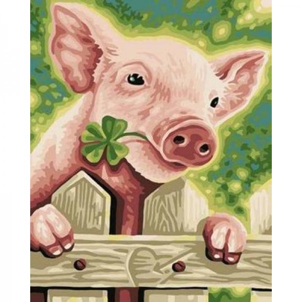 Buy Pig Diy Paint By Numbers Kits