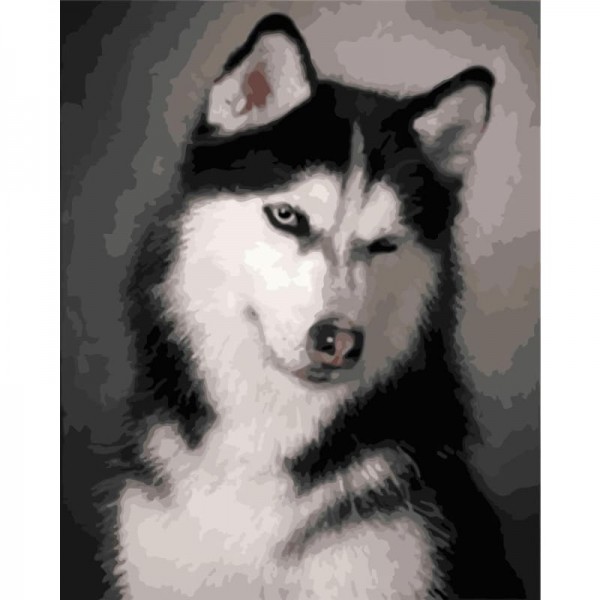 Order Husky Diy Paint By Numbers Kits