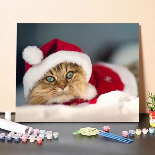 Paint By Numbers Kit – Christmas Cat