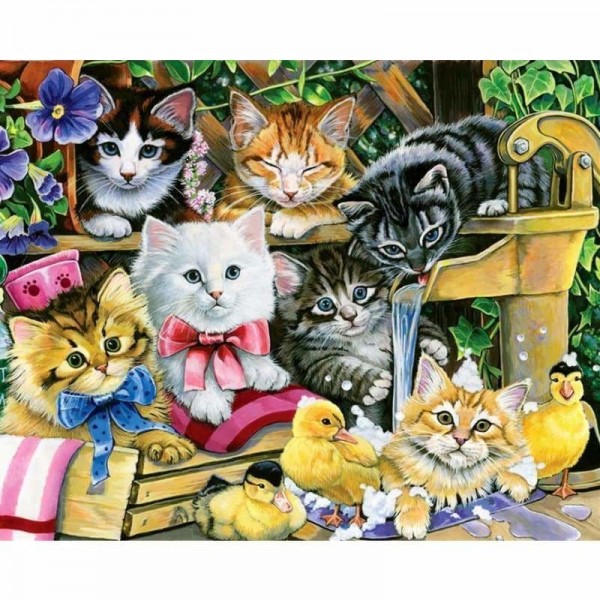 Buy Cat Diy Paint By Numbers Kits